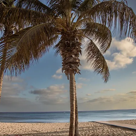 Eslanzarote Aptos Mozaga By Corujo Apartment